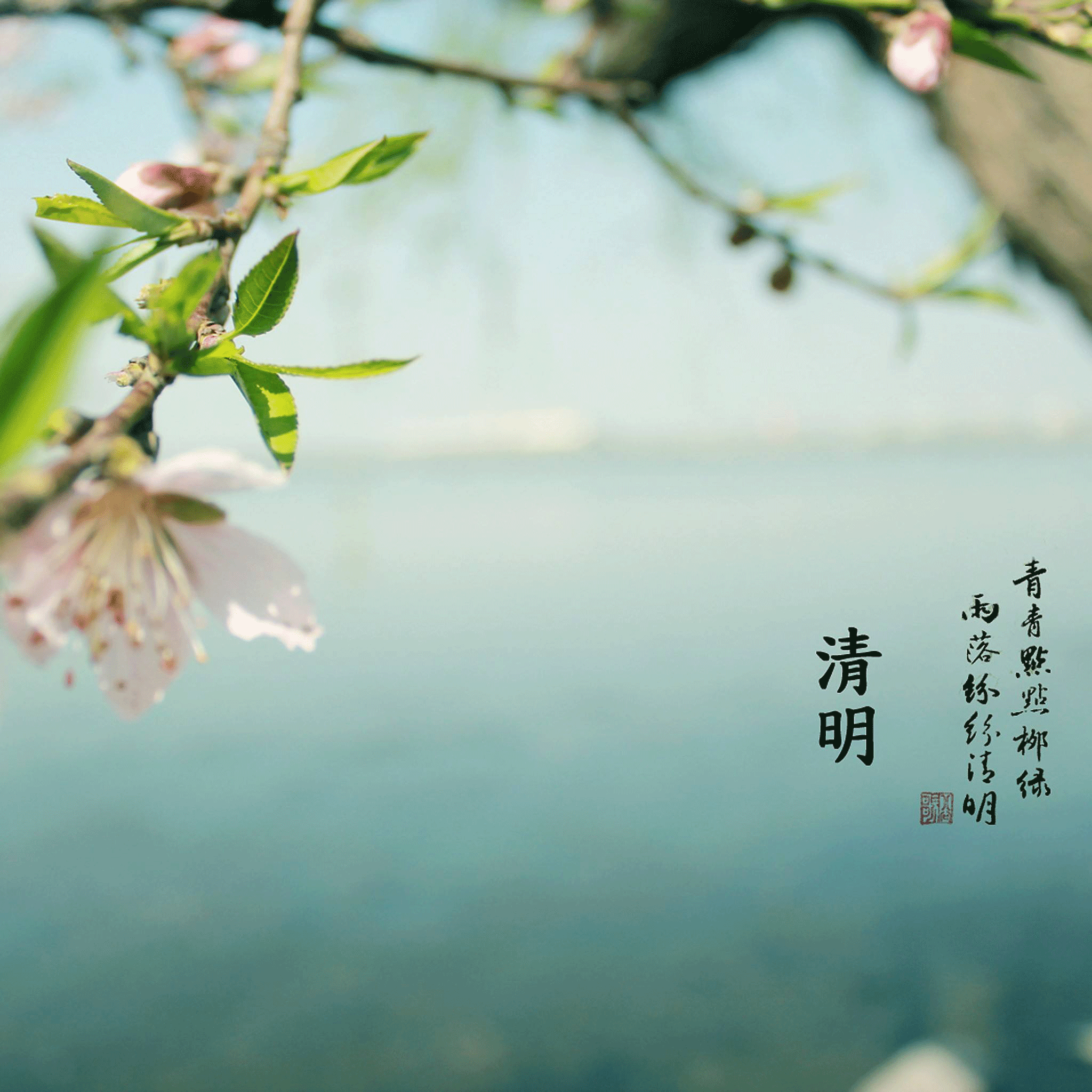 清明全攻略，?洛陽遠見祝您小長假愉快！